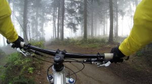 Cyclist riding a bike through woods